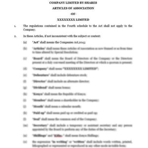 Article of Association | Netsheria board documents online