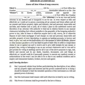 General Power of Attorney - Issued by an Individual | Netsheria Legal documents online