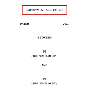 Employment contract | Netsheria Legal Documents in Kenya